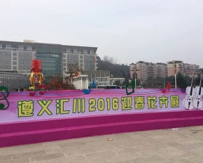 习水花卉展示